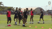 aquecimento cbf confederacao brasileira de futebol selecao brasileira pulos para aquecer