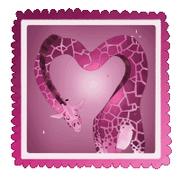 a couple of giraffes making a heart shape with their necks