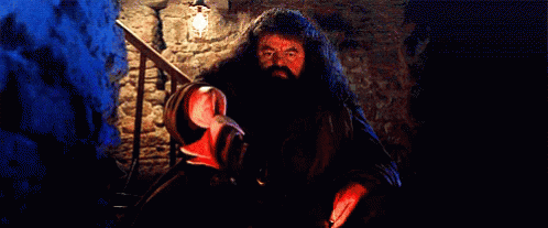 Fire GIF - Harry Potter Hagrid Fire GIFs