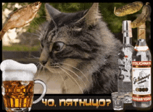 a cat standing next to a bottle of russian vodka and a mug of beer