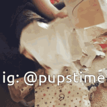 a picture of a person holding a piece of paper with the hashtag @pupstime on it