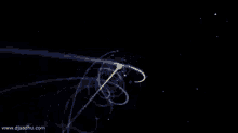 Spacetime GIF - Spacetime GIFs