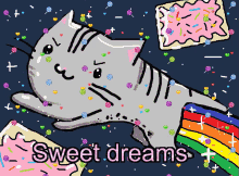 Nyan Car Funny GIF - Nyan Car Funny Sweet Dreams GIFs