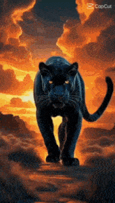 a black panther is walking across a cloudy sky at sunset .