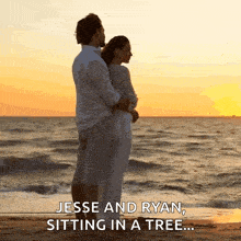 jesse and ryan are sitting in a tree watching the sunset