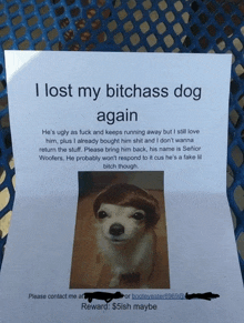 a paper that says i lost my bitchass dog again with a picture of a dog