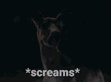 Scream Angry GIF - Scream Angry Frustrated GIFs