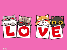 Love Cute GIF - Love Cute Cat GIFs