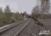train funny eclick roller coaster