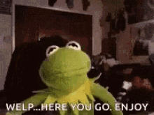 kermit the frog is sitting on a couch and saying `` welp ... here you go , enjoy '' .