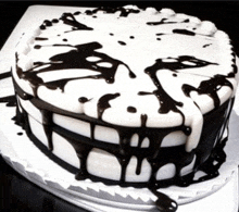 Cake GIF - Cake GIFs