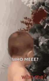 a baby is standing in front of a christmas tree and saying `` who meee ? who me ? ''