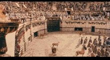 a group of people are watching a lion in a cage in a stadium