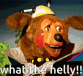 a picture of a stuffed animal with the words what the helly