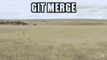 Git Merge GIF