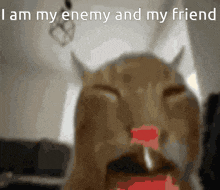 a blurred image of a cat with horns and the words i am my enemy and my friend