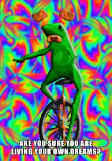 are you sure you are living your own dreams frog unicycle dog filter