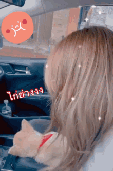 a woman is sitting in a car with a cat and a sticker that says ' i 'm sorry '