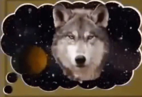 solar system wolf meme