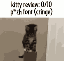 Kitty Review Pvzh GIF - Kitty Review Pvzh GIFs