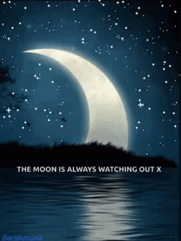 This Moonlight GIF - This Moonlight - Discover & Share GIFs