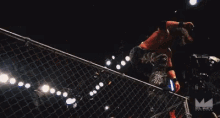 Wrestling Cage GIF - Wrestling Cage Jump GIFs
