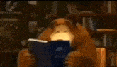 Bear Teddy Bear GIF - Bear Teddy Bear Book GIFs