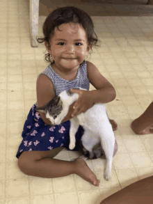 Cats Love GIF - Cats Love Crazy GIFs
