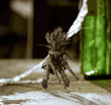 a small creature with long hair is standing in front of a green box