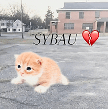 a picture of a kitten with a broken heart and sybau written above it