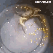 Fighting Crab Crab With A Knife GIF