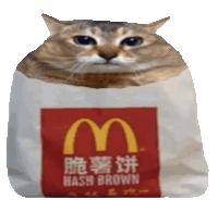 a cat is sitting on top of a mcdonald 's hash brown bag