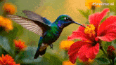 a hummingbird is perched on a red flower with pixverse.ai written in the corner