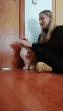 Angry Cats GIF - Angry Cats GIFs