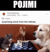 a dog and two cats are playing chess and the caption says pojimi