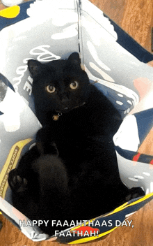 Minnie Black Cat GIF