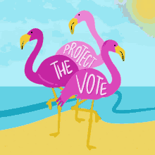 Protect The Vote Flamingo GIF - Protect The Vote Flamingo Florida GIFs