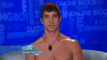 Cody Nickson Big Brother GIF