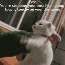 cat stuggle boss touchy touchy ssi