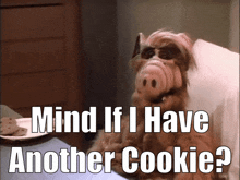 Alf Mind If I Have Another Cookie GIF - Alf Mind If I Have Another Cookie Cookies GIFs
