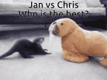 Jan Chris GIF - Jan Chris Otter GIFs