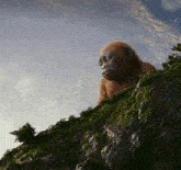 Mini Kong Son GIF - Mini Kong Kong Son GIFs