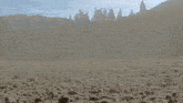 a buggy is driving down a dirt road with mountains in the background