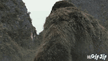 Kong Supreme Kong GIF - Kong Supreme Kong Kong Season GIFs