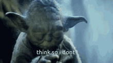I Dont Think So Yoda GIF - I Dont Think So Yoda Think So I Dont GIFs