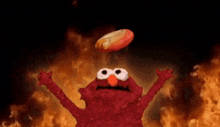 Elmo Fire GIF - Elmo Fire Burn GIFs