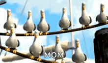 a bunch of seagulls are standing on a wire and the word mom is visible