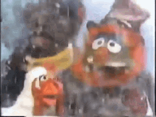 Muppets Camilla GIF - Muppets Camilla Dr Teeth GIFs