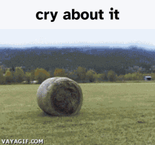 Cry About It Hay Bale GIF - Cry About It Hay Bale Machine GIFs