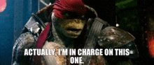 Tmnt Raphael GIF - Tmnt Raphael Actually Im In Charge On This One GIFs